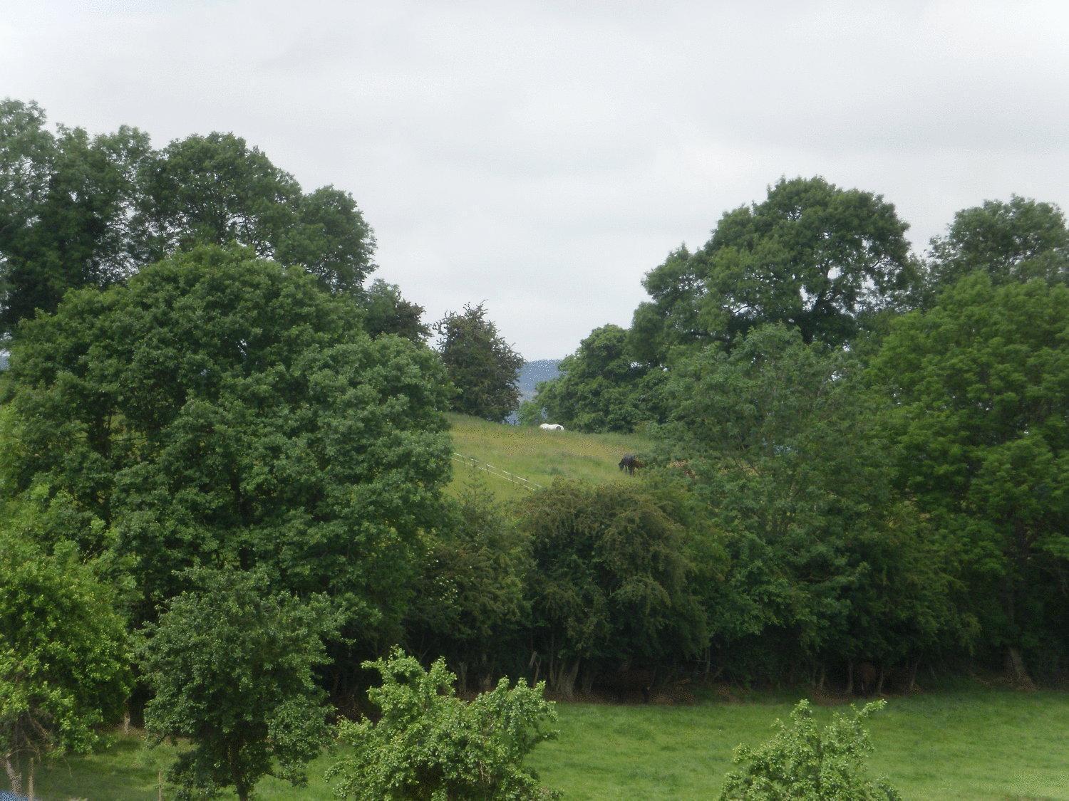 Stone Hill Farm B&B Shrawley 외부 사진